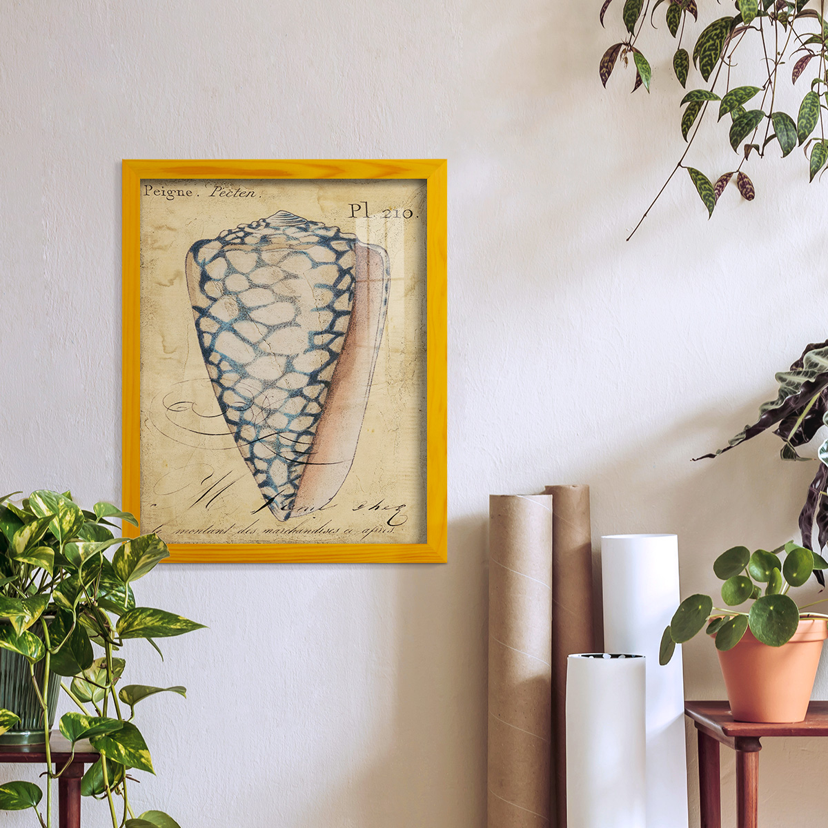 Seashell Ephemera IV - Framed Print w/glass - Sunflower Yellow