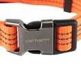 thumbnail image 2 of Carhartt Dog Collar Hunter Orange/Brushed Nickel, 2 of 5