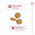 thumbnail image 3 of Breed Health Nutrition Poodle Adult - Dry Dog Food 10 lbs, 3 of 5