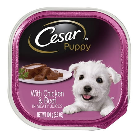Cesar Wet Dog Food Walmart Cesar Wet Dog Food Walmart