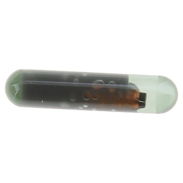 ID 48 Puce Immobilisatrice pour A8 98 03 02 08 Beetle 98