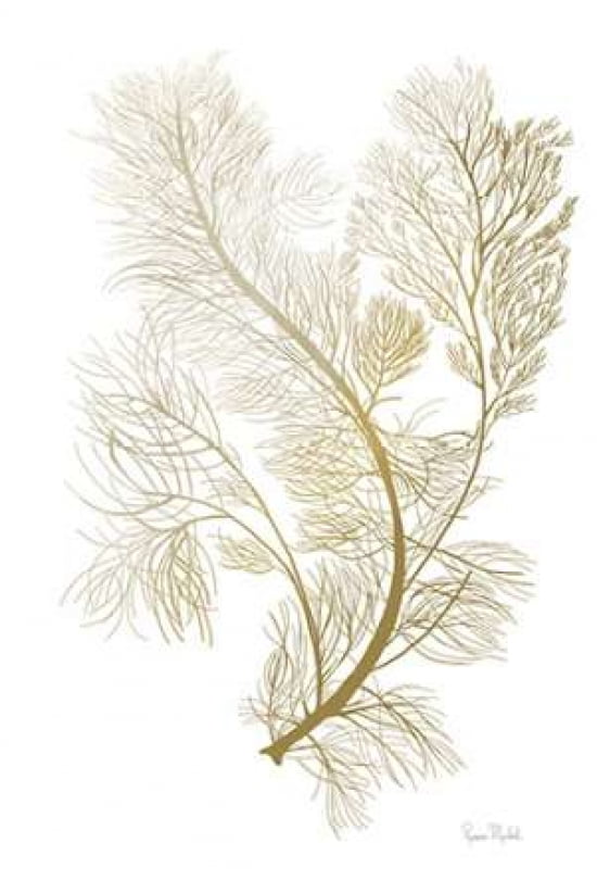 Fern Algae Gold on White Poster Print by Ramona Murdock 24 x 36
