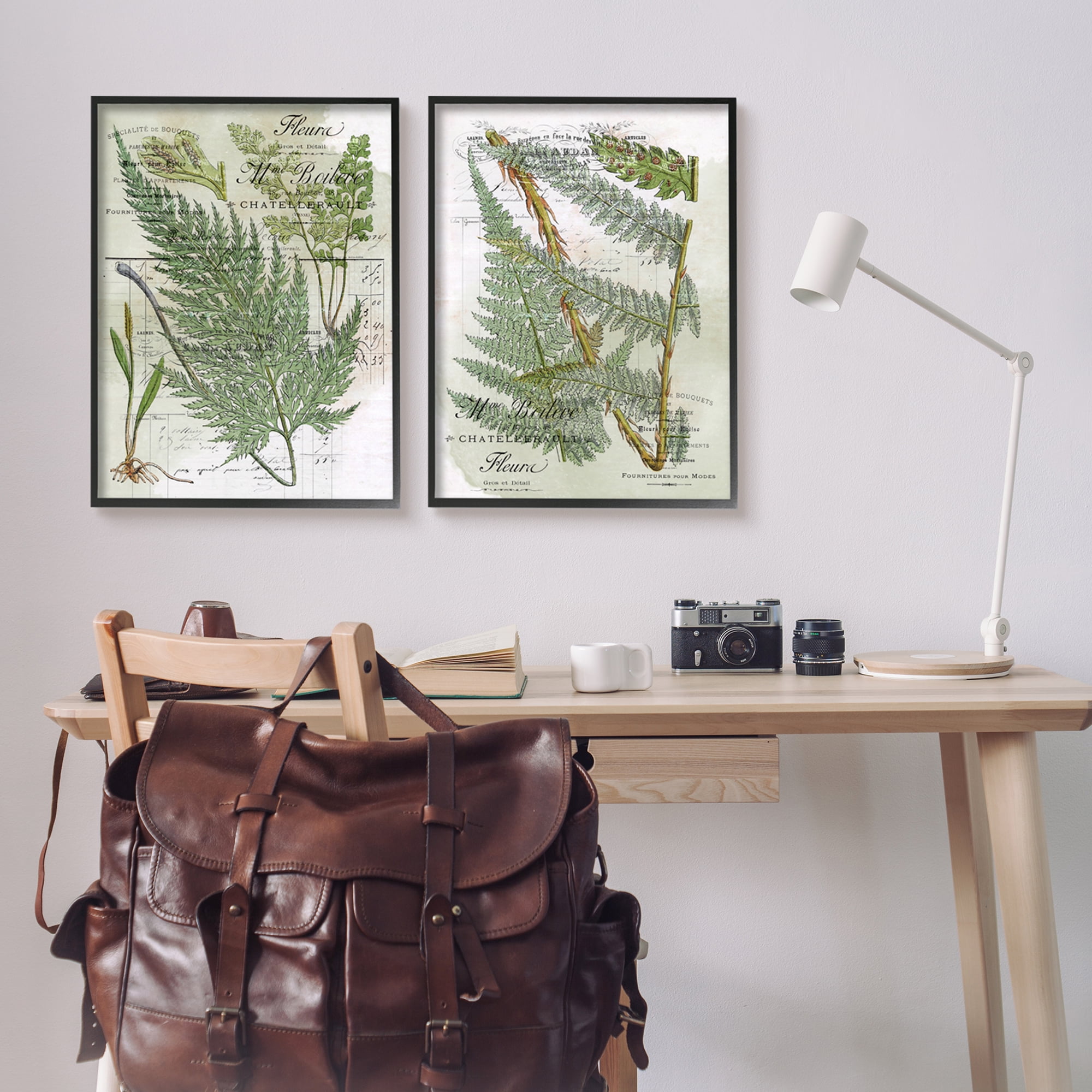 Stupell Woodland Fern Botanical Latin Study Botanical & Floral Painting Black Framed Art Print Wall Art, Set of 2