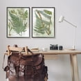 thumbnail image 2 of Stupell Woodland Fern Botanical Latin Study Botanical & Floral Painting Black Framed Art Print Wall Art, Set of 2, 2 of 8
