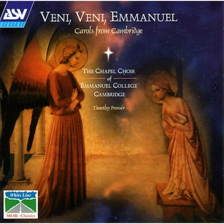 Tostitos Scoops Tortilla Chips Party Size Bag, 14.5 Oz