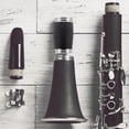 thumbnail image 3 of Shisuyan Sound Production Two Section Tube for Students 1Pcs, 3 of 9