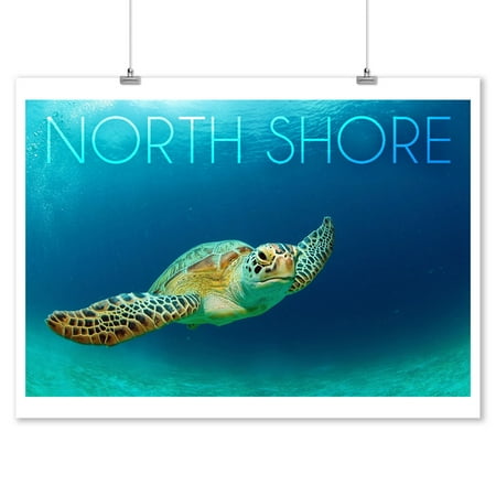 Sea Turtle Hawaii Decor North Shore, Hawaii - Sea Turtle Swimming - Lantern Press Photography (9x12 Art Print, Wall Decor Travel Poster) ()