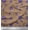 Tortilla Brown, variant on Soimoi Cotton Duck Fabric Web & Spider Insects Print Sewing Fabric Yard 42 Inch Wide