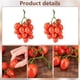 thumbnail image 4 of Paquete de 2 tomates cherry artificiales, fruta artificial realista, tomate de simulación, tomates rojos artificiales, decoración de frutas, accesorios, 4 of 6