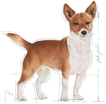 Royal Canin Urinary Dog Wet Food Loaf 12x85g