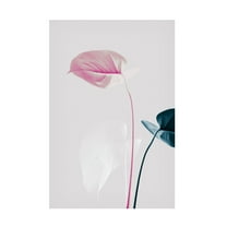 Trademark Fine Art Pictufy Studio Monstera Creative 24 Canvas Wall Art