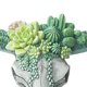 thumbnail image 4 of Colgante De Pared Colgante de pared de calavera de vaca suculentas/escultura de adorno en miniatura de resina de flor rosa, 4 of 5