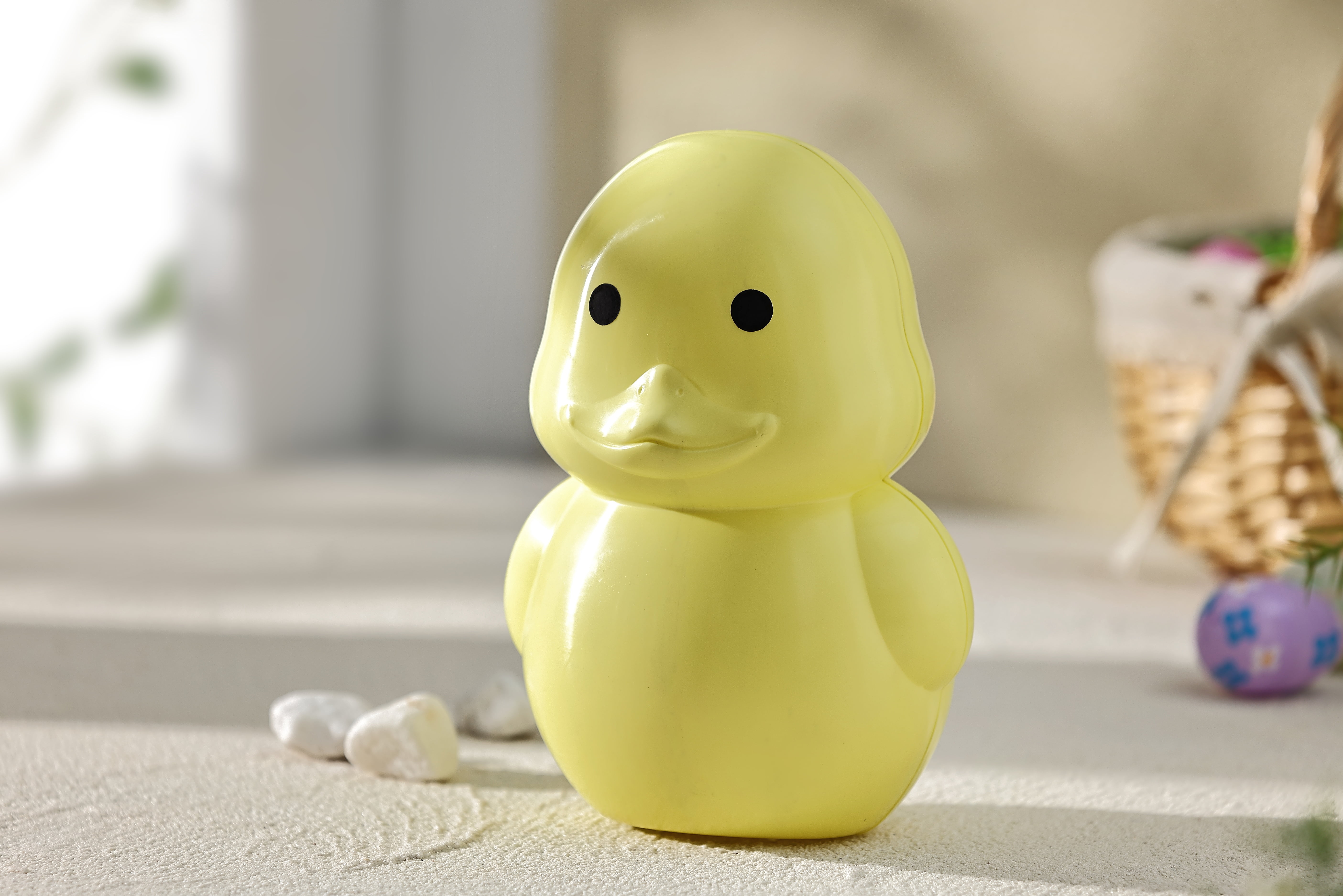 9`` DUCK CONTAINER