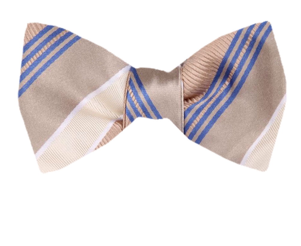 Mens Silk Fashion Designs Self Tie Bowtie Tie Yourself Bow Ties