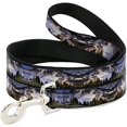 thumbnail image 1 of Buckle Down Buckle-Down Pet Dog or Cat Leash, 1 of 1