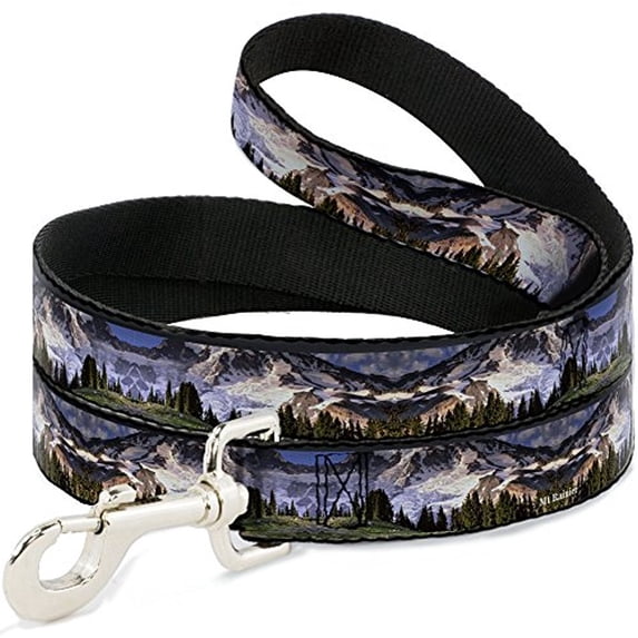 Buckle Down Buckle-Down Pet Dog or Cat Leash