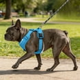 thumbnail image 4 of TIELUTT Harness Leash Vest Harness/ Breakaway Large Harness Reflective Walking Leash Dog Accessories Design Catch Net for Dogs Dog Trainer Accessories Dog Car Seat Dog Bike Rack, 4 of 5