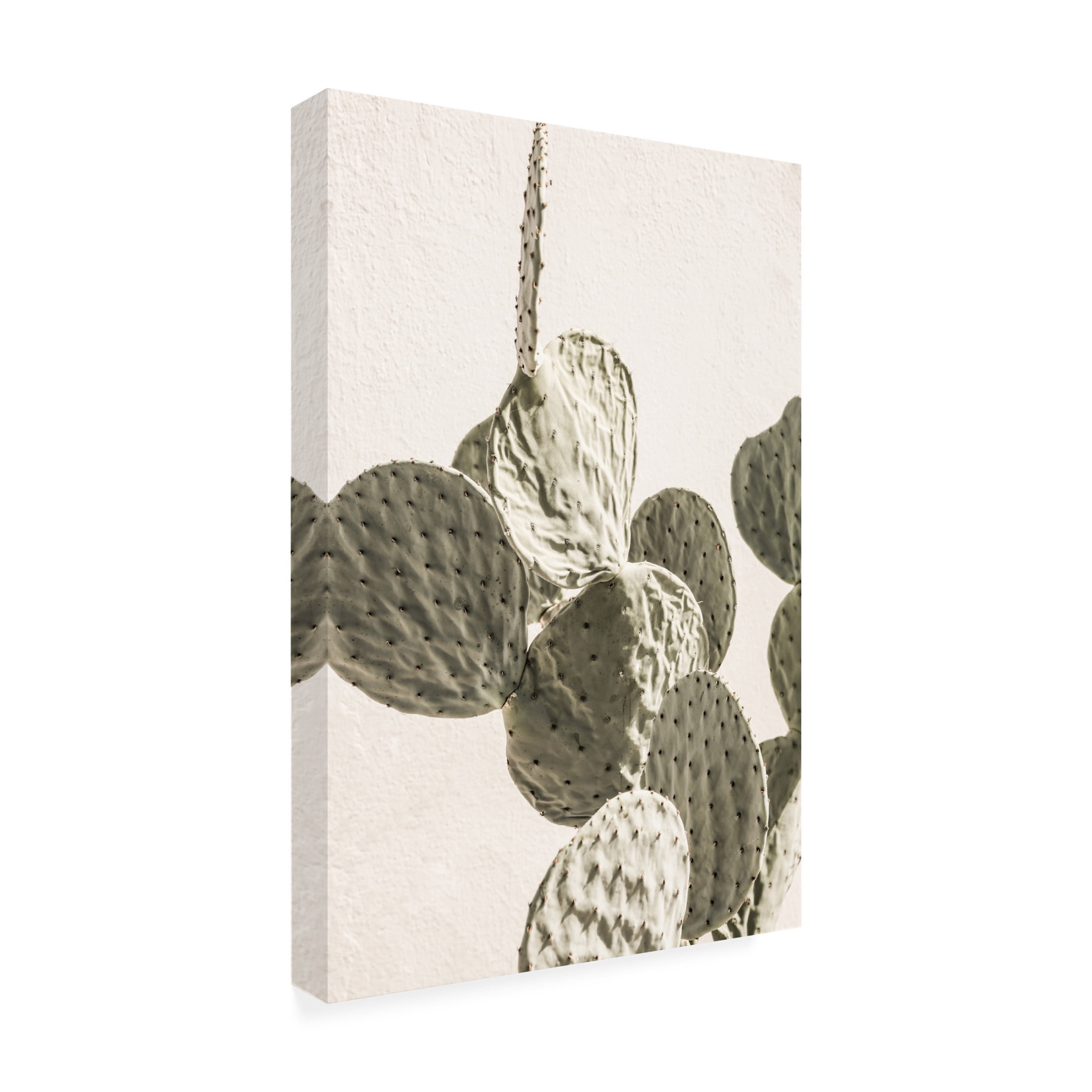 Trademark Fine Art Shot by Clint Mexi Catus 02 Canvas Wall Art