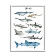 thumbnail image 5 of Stupell Industries Nautical Shark Chart Watercolor Marine Animals Graphic Art Framed Art Print Wall Art, 11x14, By Ziwei Li, 5 of 5