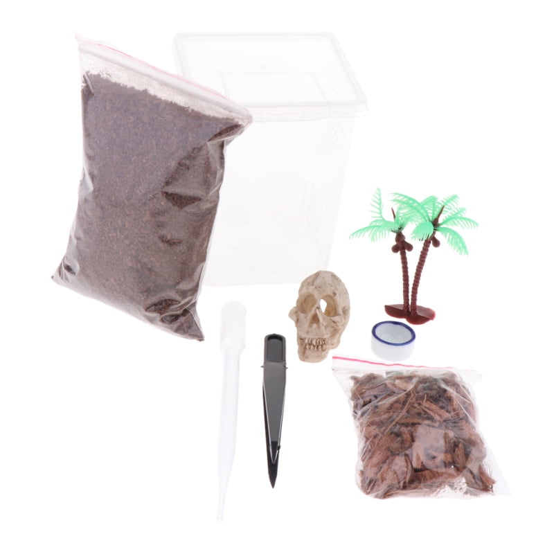 Buy Reptiles Terrariums Feeding Box for Spider Insect Cricket Snail