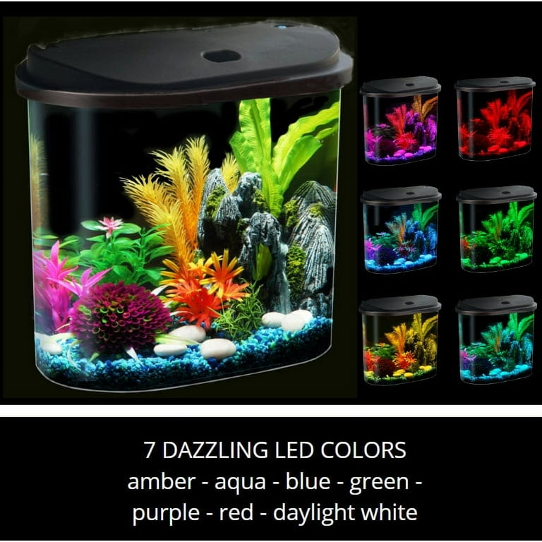 Aqua Culture Betta View 1/2-Gallon Fish Tank with Full Hood