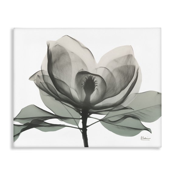 Stupell Industries Contemporary White Magnolia Flower Green Silhouette Canvas Art, 20 x 16, by Albert Koetsier