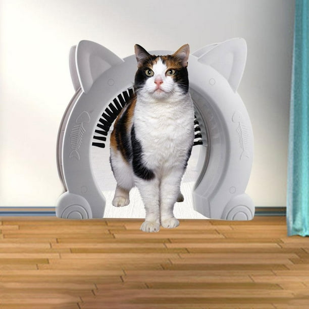 Cat door to basement sales