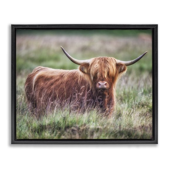 Stupell Industries Farmhouse Highland Longhorn Cattle Grazing Rural Countryside Grassland Black Floating Frame Canvas Art, 21 x 17, by James Dobson