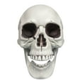 thumbnail image 2 of Nilvkv Halloween Skeletons Plastic Realistic Fake Simulation Human Skull Headbone Model Halloween Prop Realistic Mini Skeleton Spooky Halloween Decoration, 2 of 6