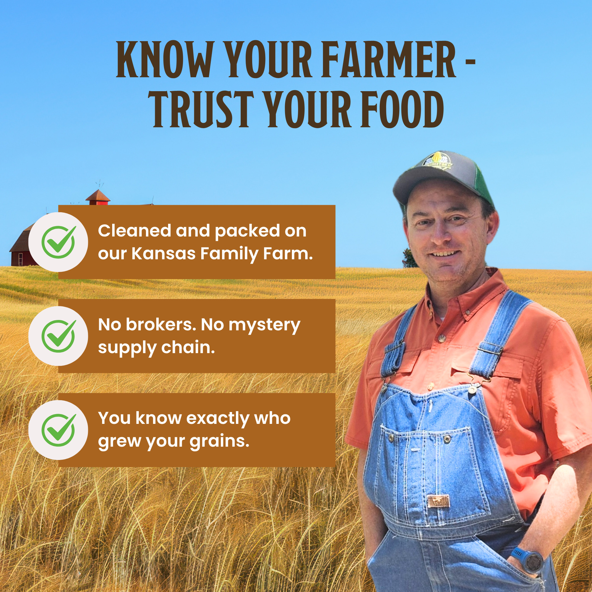 USDA Organic Brown Flax Seed Non-GMO Farmer Bob's Farmer-Direct