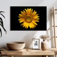 thumbnail image 3 of Elephant Stock Sunflower On Black Wall Art - Horizontal Canvas Wall Art - Living Room Wall Decor - Floral And Botanical Canvas - Black And Orange Decor - 24" x 16", 3 of 8