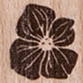 thumbnail image 2 of Sellos Sello de planta retro de madera Serie de cajas de flores pequeñas Herramienta de artesanía de sello de flores de bricolaje (D) Tmvgtek Libre de BPA, 2 of 9