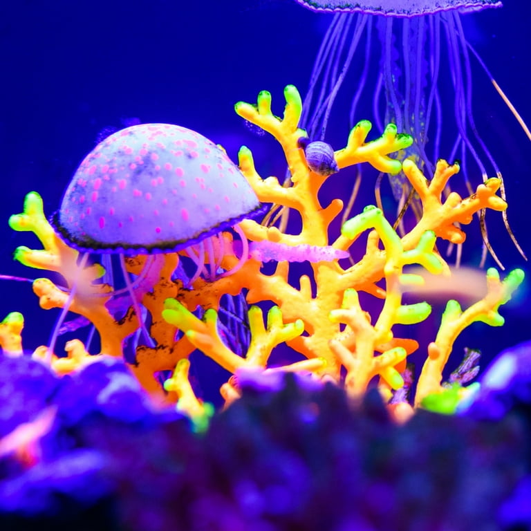 Soft Silicone Glowing Aquatic Artificial Seaweed Aquarium Kelp for Fish Tank  Decoration Orange 