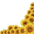 thumbnail image 2 of Sunflower Wall Decal by Wallmonkeys Peel and Stick Graphic (36 in H x 36 in W) WM158312, 2 of 4