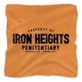 thumbnail image 1 of Justice League Iron Heights Bandana (21 in x 21 in), 1 of 4