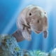 thumbnail image 2 of Marioneta de mano Folkmanis Manatee Grey, 2 of 3