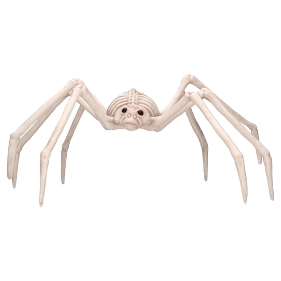 Faux Skeleton Spider Decoration, 5.25", Halloween by Way To Celebrate