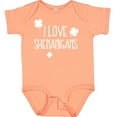 thumbnail image 3 of Inktastic I Love Shenanigans Boys or Girls Baby Bodysuit, 3 of 5