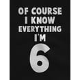 thumbnail image 2 of Tstars Boys Unisex 6th Birthday Gift Shirt Birthday Gift for 6 Year Old Birthday Gift for Boys I Know Everything I'm 6 Funny Birthday Party B Day Youth Kids T Shirt, 2 of 6