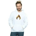 thumbnail image 2 of DC Comics Mens Aquaman Emblem Hoodie, 2 of 3