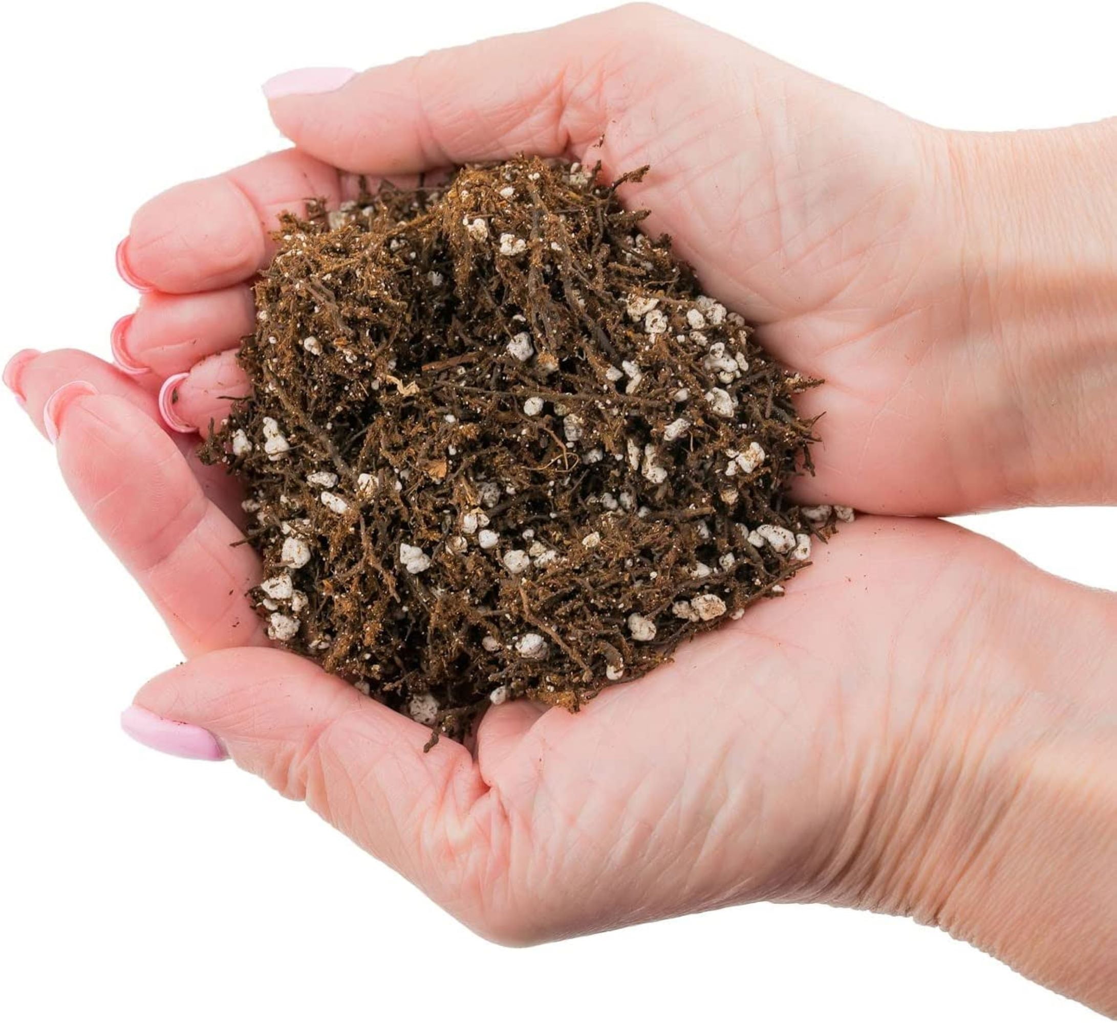Gardenera Fern + Perlite Soil Mix for Repotting and Planting Succulents and Cactuses - 4 Quart Bag