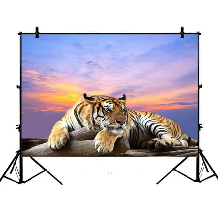 Image of PHFZK 7x5ft Lying Tiger under Beautiful Sky Photography Backdrops Polyester Photo Background Studio Props