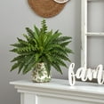 thumbnail image 3 of Nearly Natural 15in. Boston Fern Artificial Plant with Tuscan Ceramic Green Scroll Planter, Green, 3 of 4