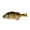 RT_BLUEGILL, variant on Jackall Fishing Gantarel Jr Rt Ghost Gill Hard Swim Baits