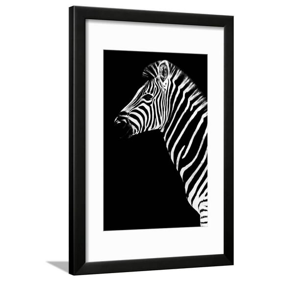 Safari Profile Collection Zebra Black Edition III Framed Print Wall Art by Philippe Hugonnard Sold by Art.Com