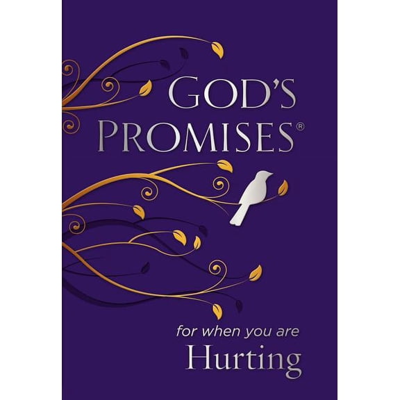 God's Promises for When You Are Hurting (Paperback)