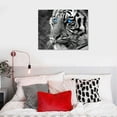 thumbnail image 5 of Acheng  Large 3 Pieces Canvas Prints Wall Art Blue Eyed Tiger Poster Printed On Canvas Animal Pictures Painting Giclee Artwork Framed For Office Home Decorations (Blue Eye) 16x12in, 5 of 6