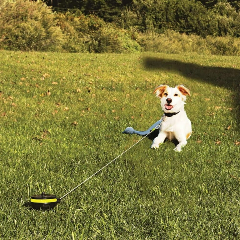 Dog Retractable Cable Tie Out Small