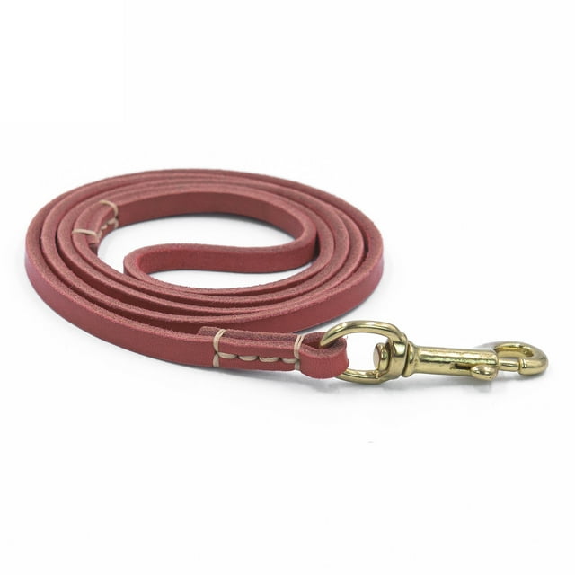 Laisse Multifonctionnelle en Cuir pour Chiens de Petite et Moyenne Taille