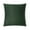 Green, variant on Pawz Decorative Plush Fleece Soft Accent Pine Green 20"x20" Pillow, for Adults and Teens